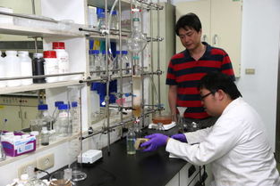 嘉大研究團隊研發高效能太陽能電池登上國際期刊，引領新興能源技術研發新浪潮